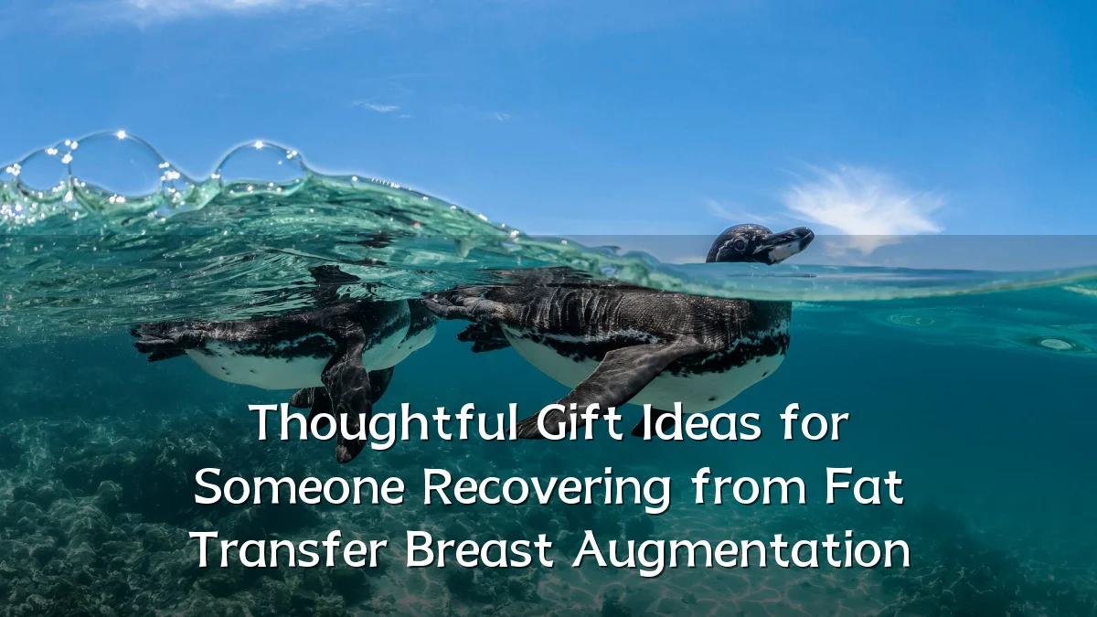 Thoughtful Gift Ideas for Someone Recovering from Fat Transfer Breast Augmentation