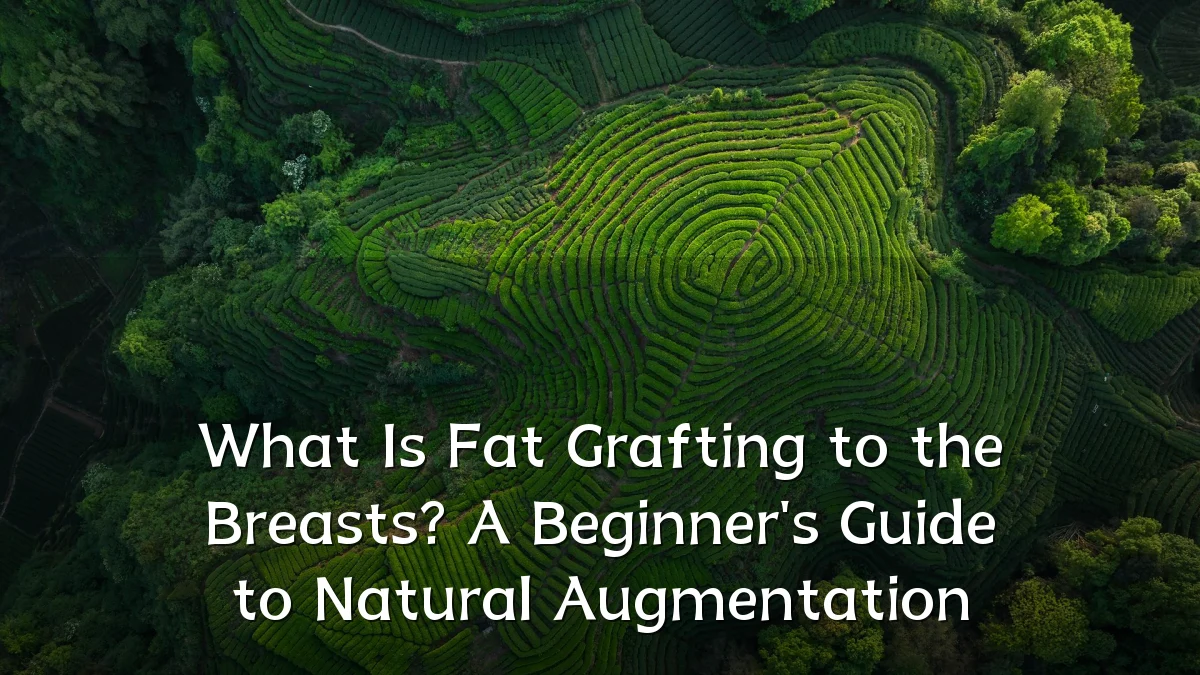 What Is Fat Grafting to the Breasts? A Beginner's Guide to Natural Augmentation
