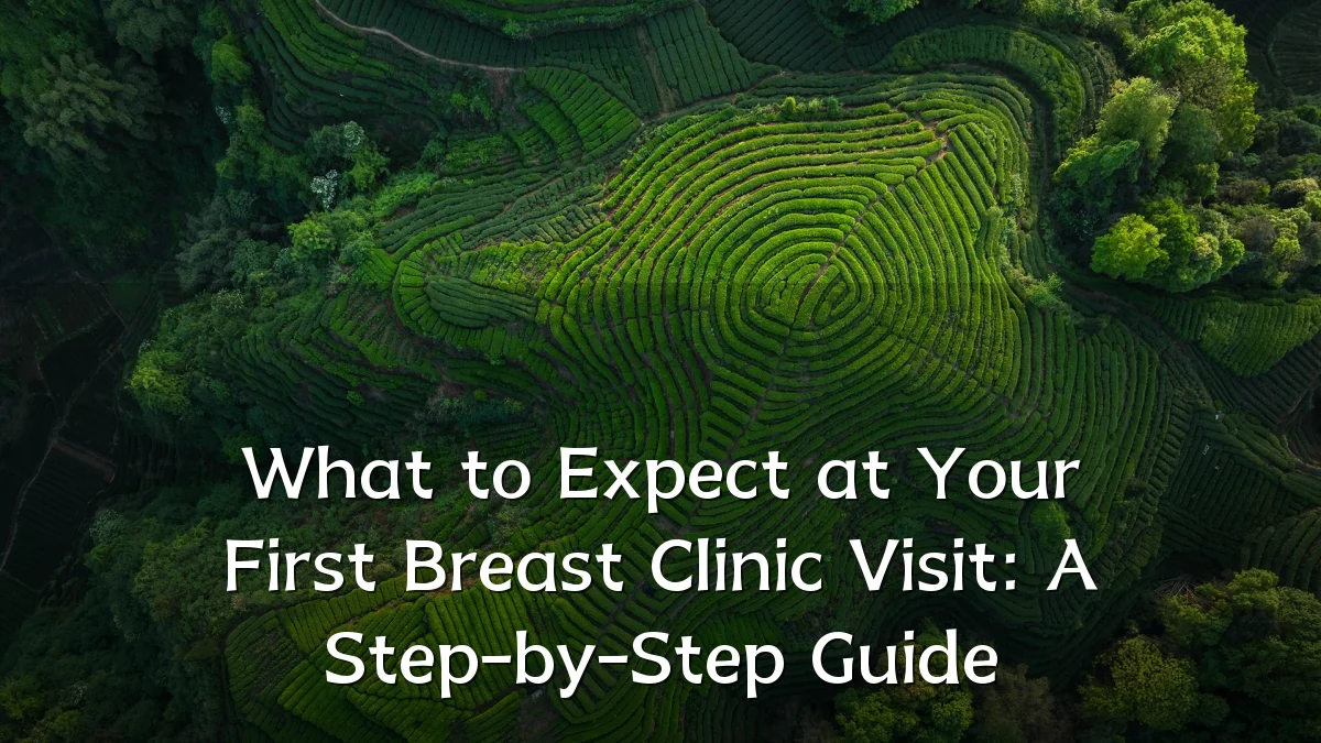 What to Expect at Your First Breast Clinic Visit: A Step-by-Step Guide