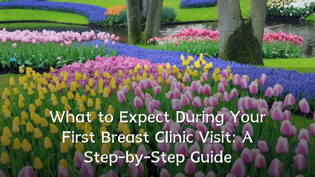 What to Expect During Your First Breast Clinic Visit: A Step-by-Step Guide